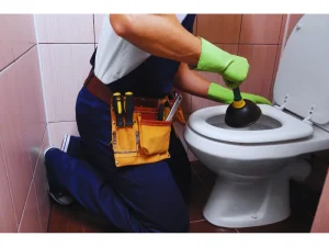 Toilet odor controll